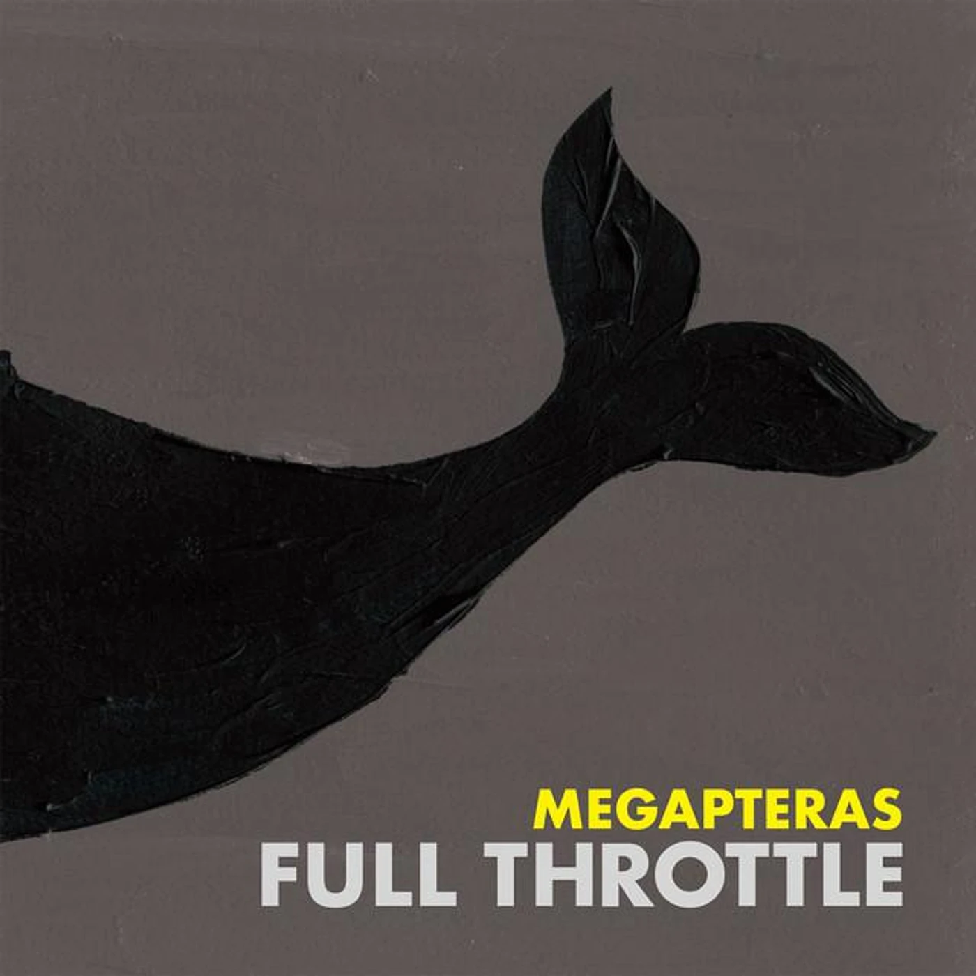 Megapteras