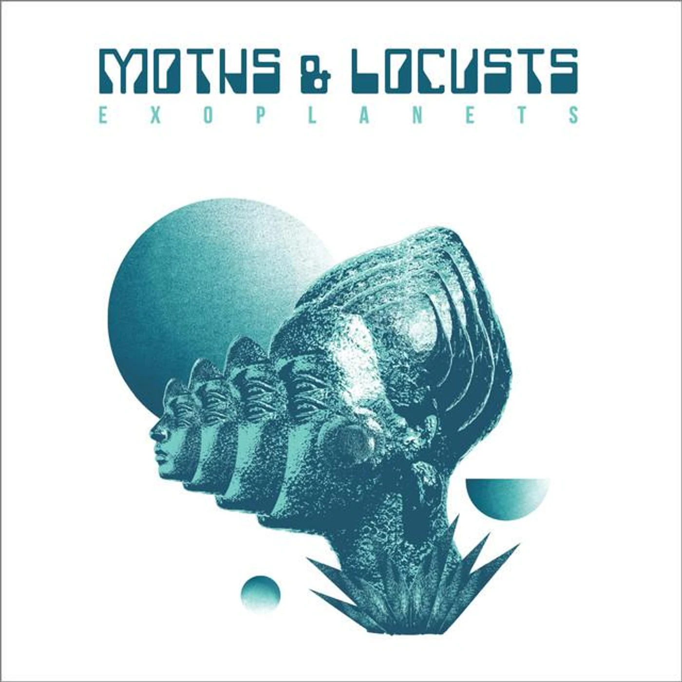 Moths & Locusts