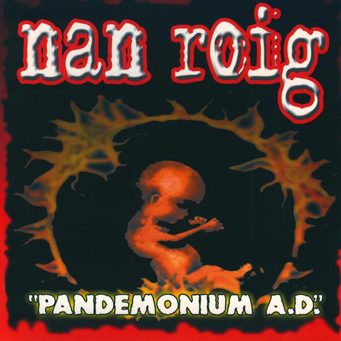 Nan Roig