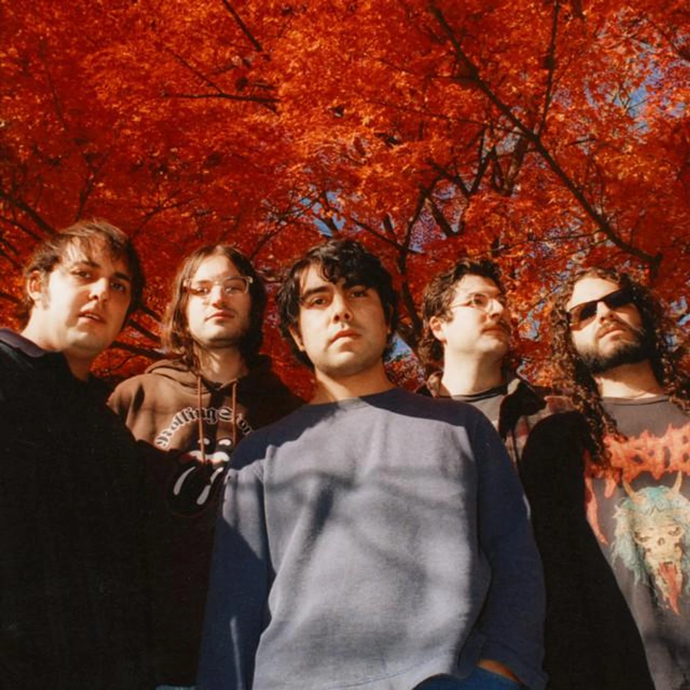Narrow Head
