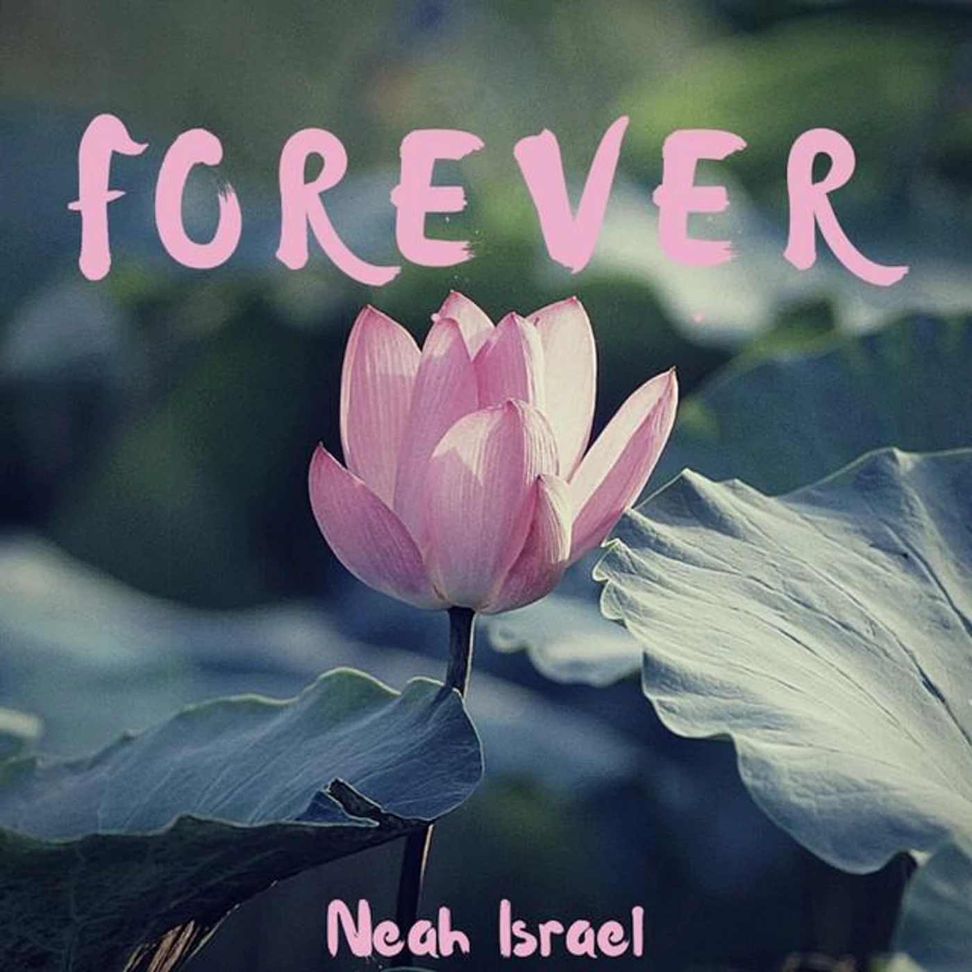 Neah Israel