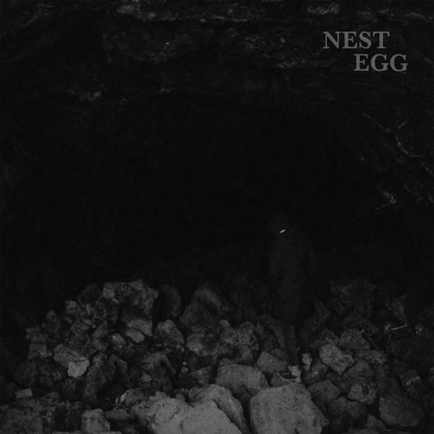 Nest Egg