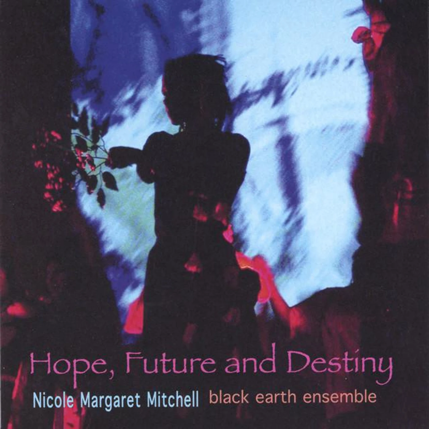 Nicole Mitchell's Black Earth Ensemble