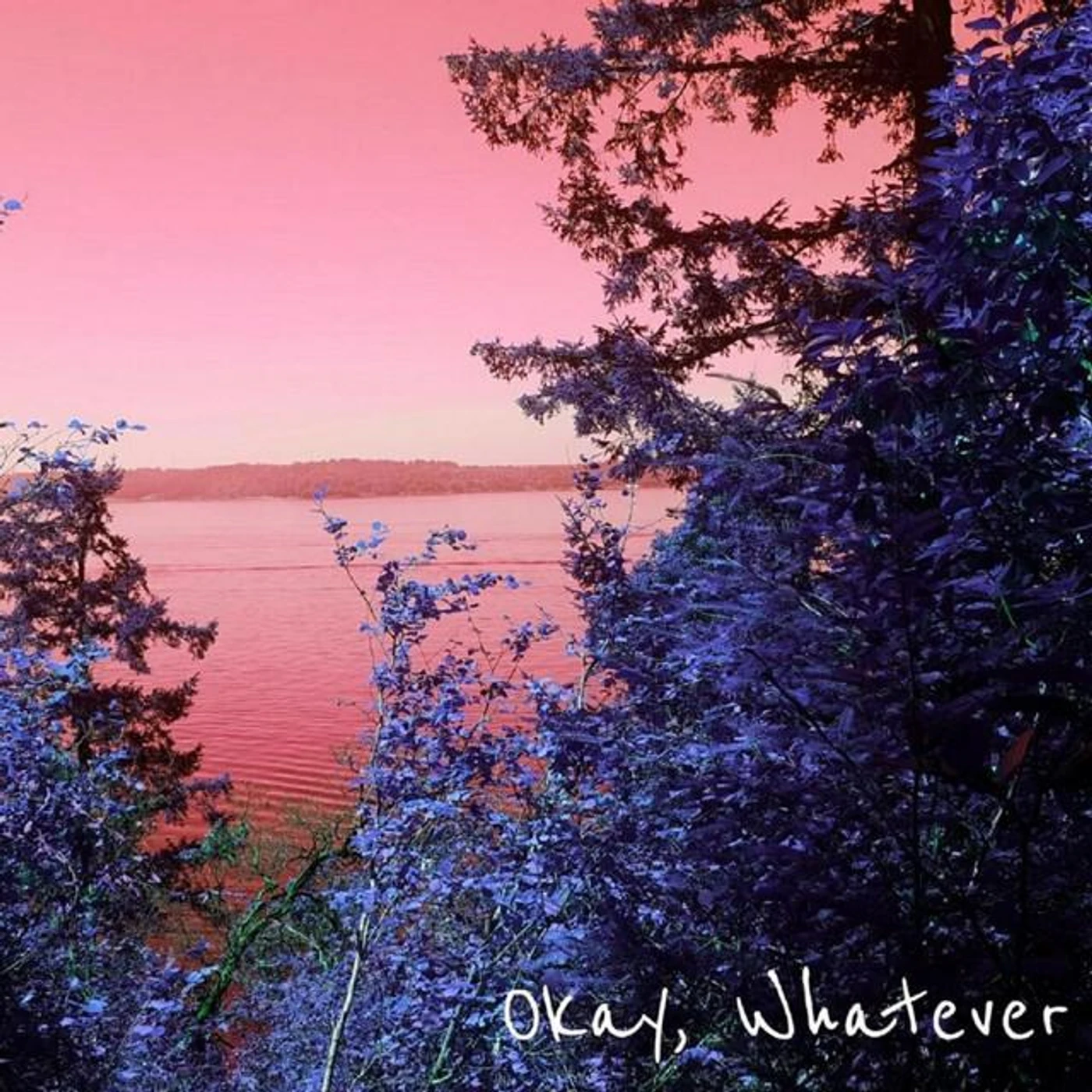 Okay, whatever