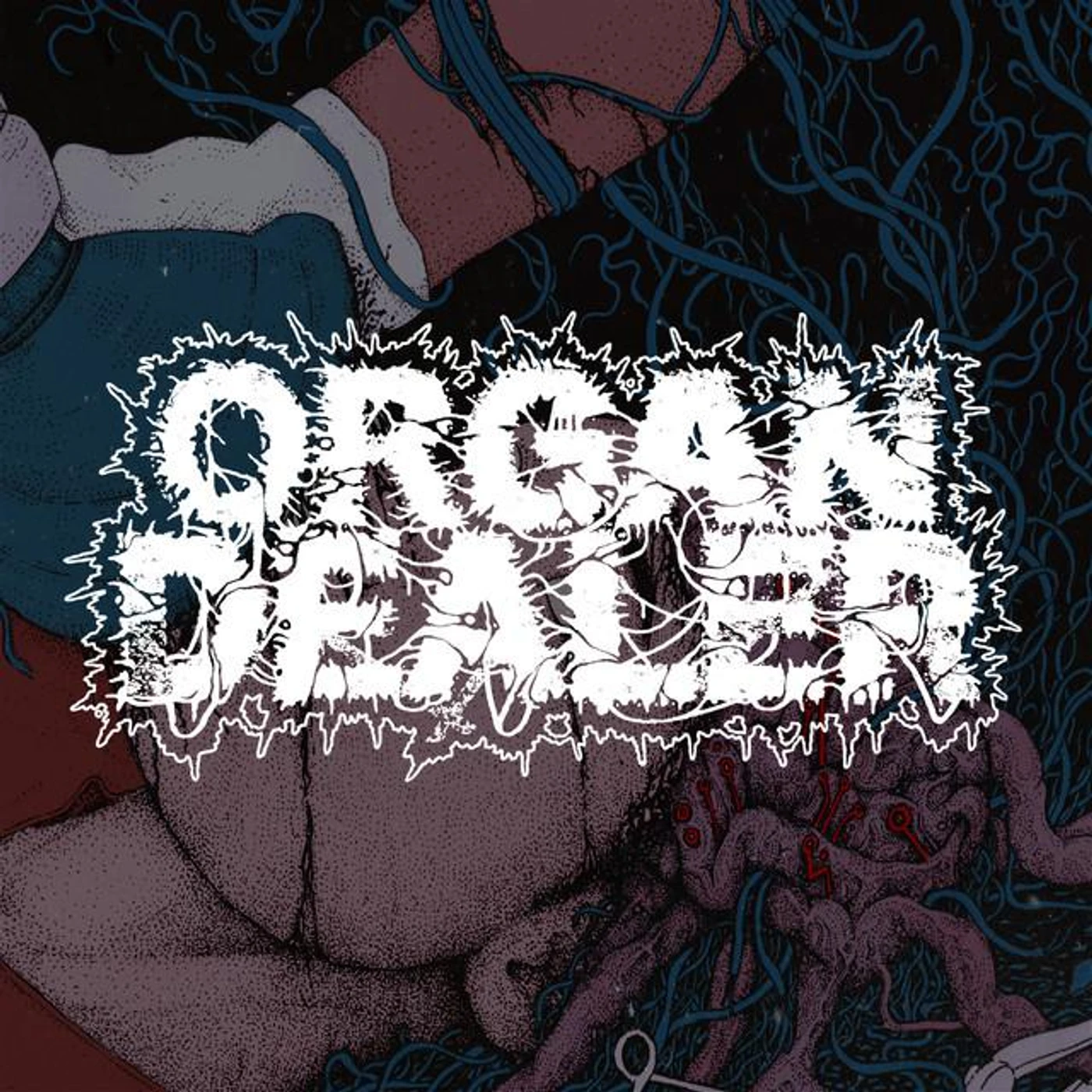 Organ Dealer