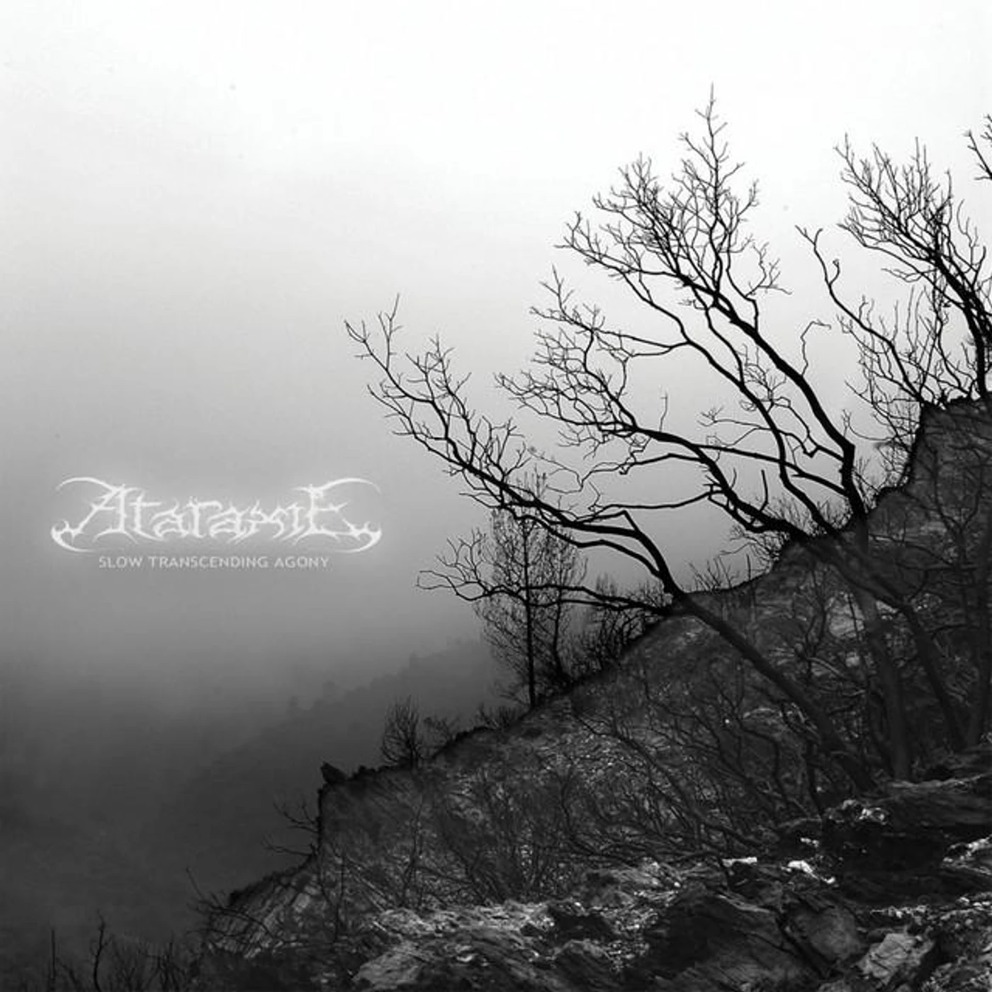 Ataraxie