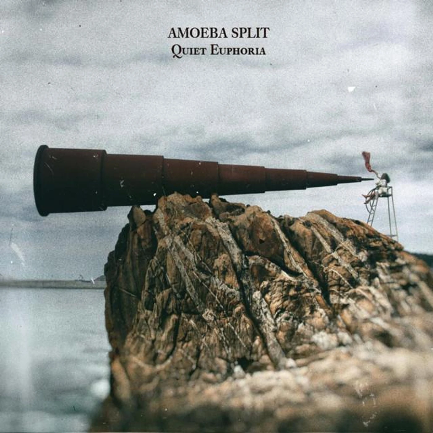 Amoeba Split