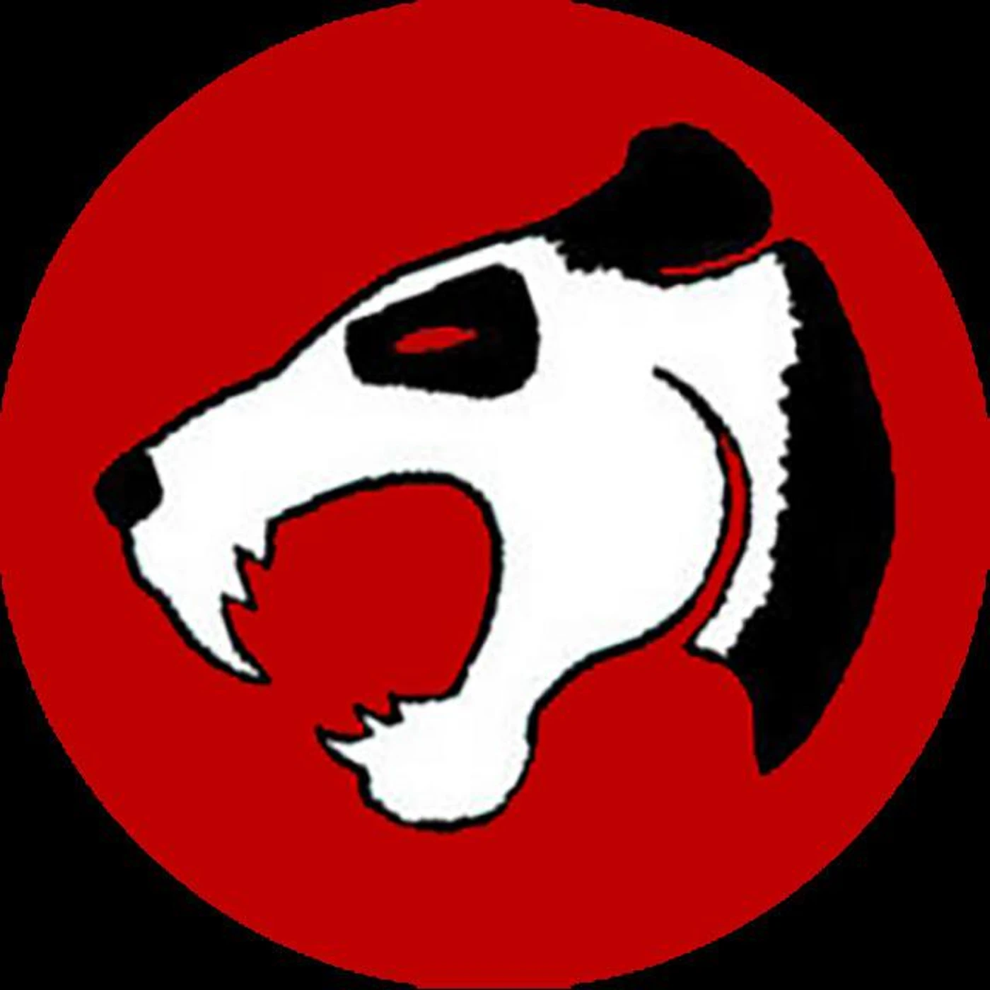Angry Panda