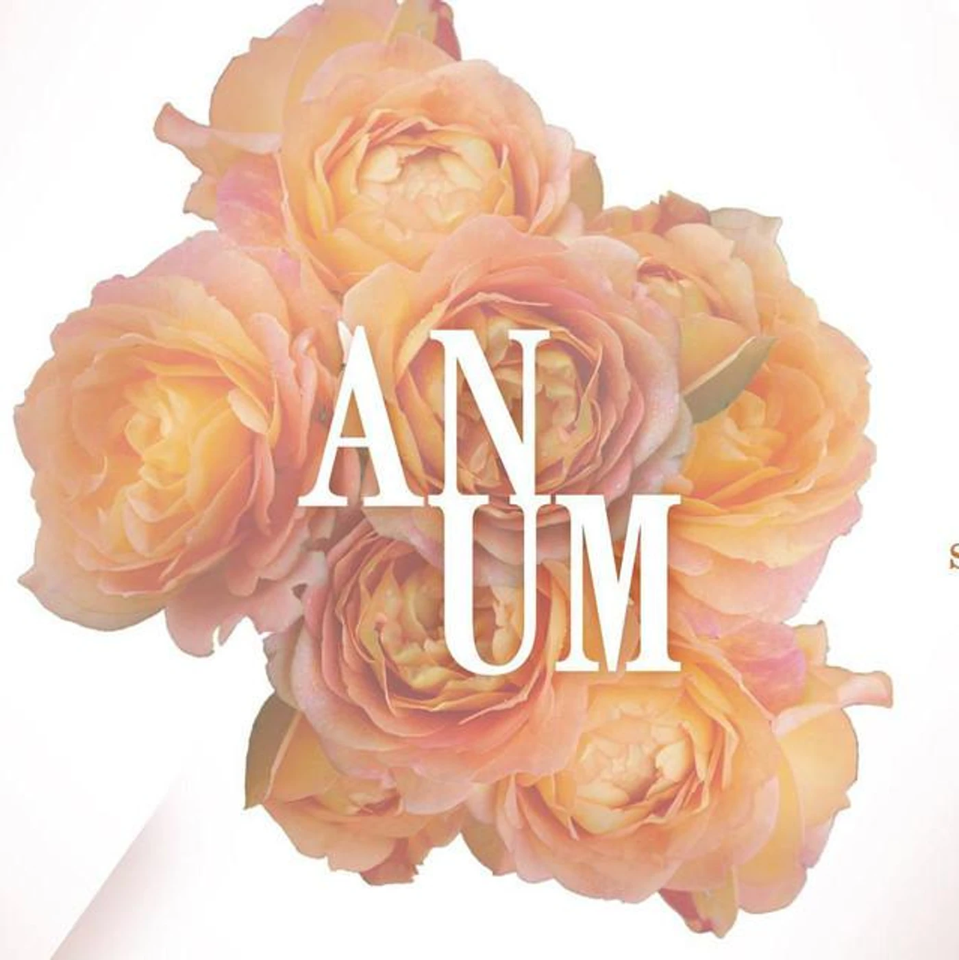 Anum