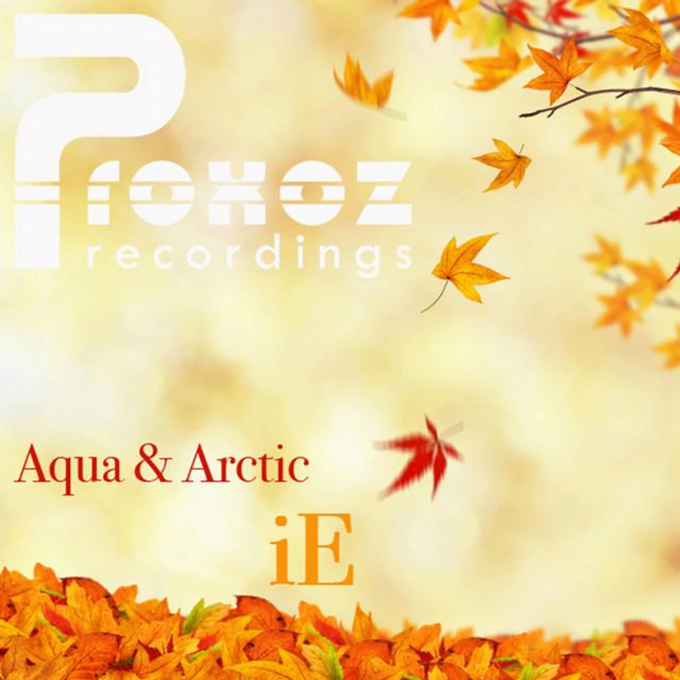 Arctic