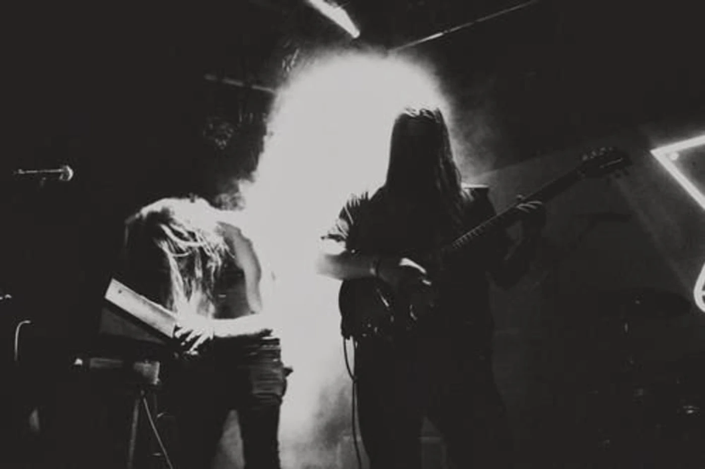 Ash Borer