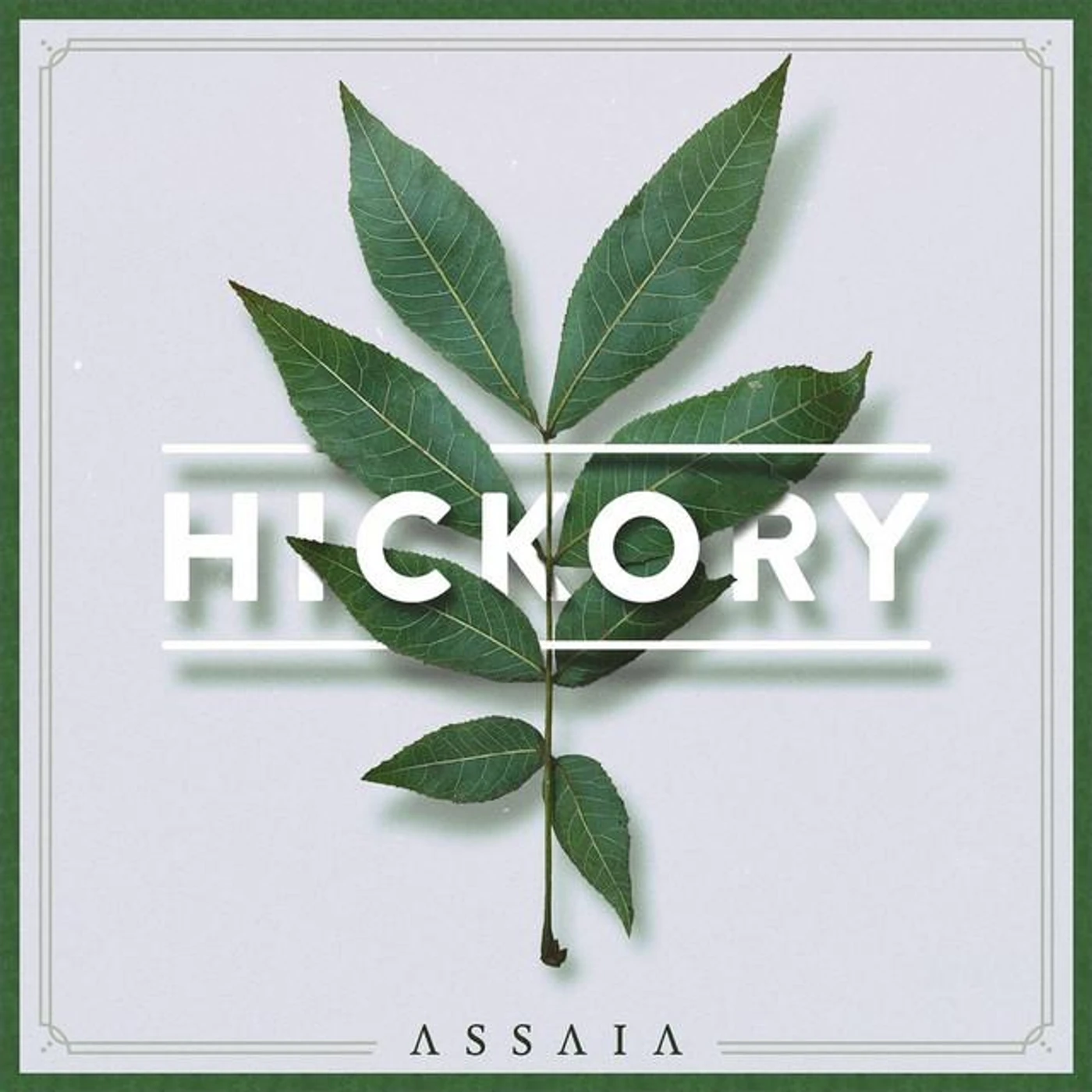 Assaia