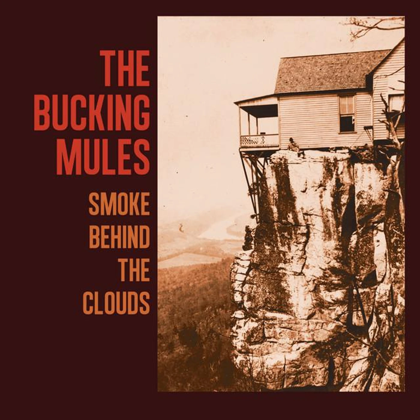 The Bucking Mules