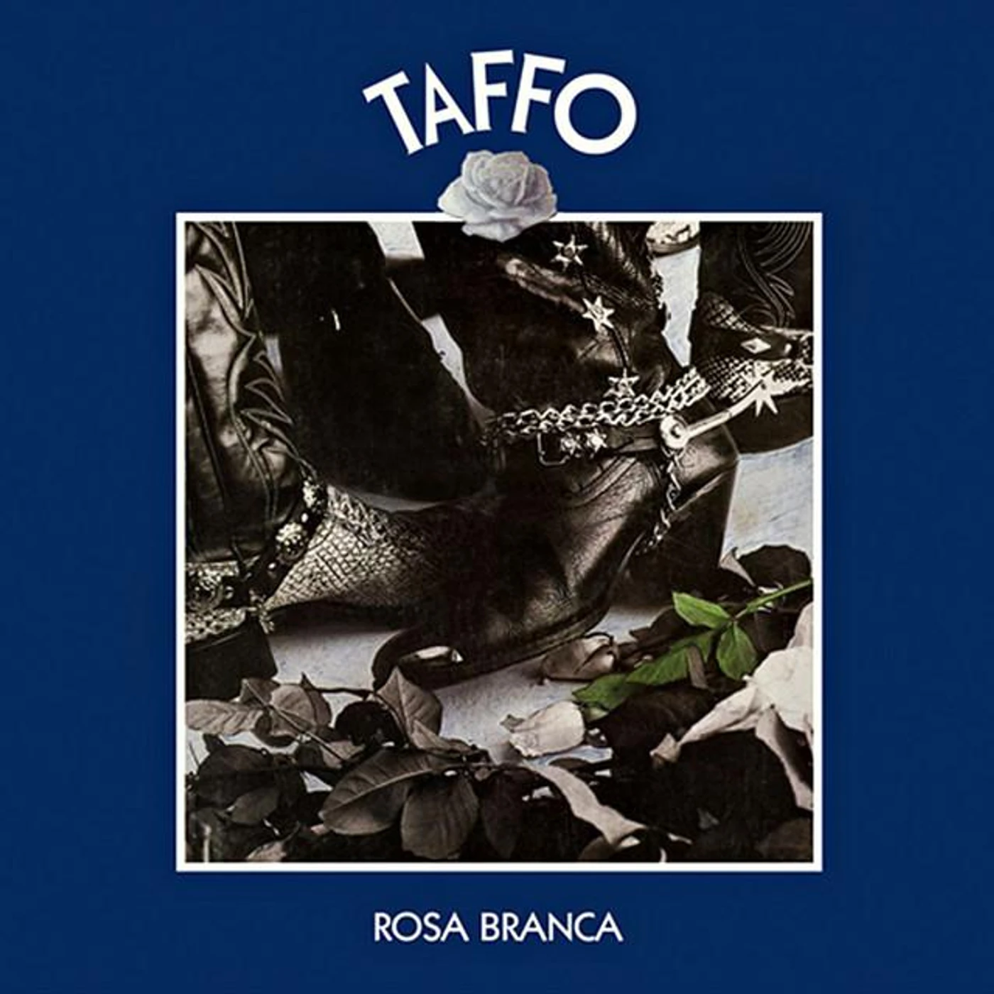 Banda Taffo