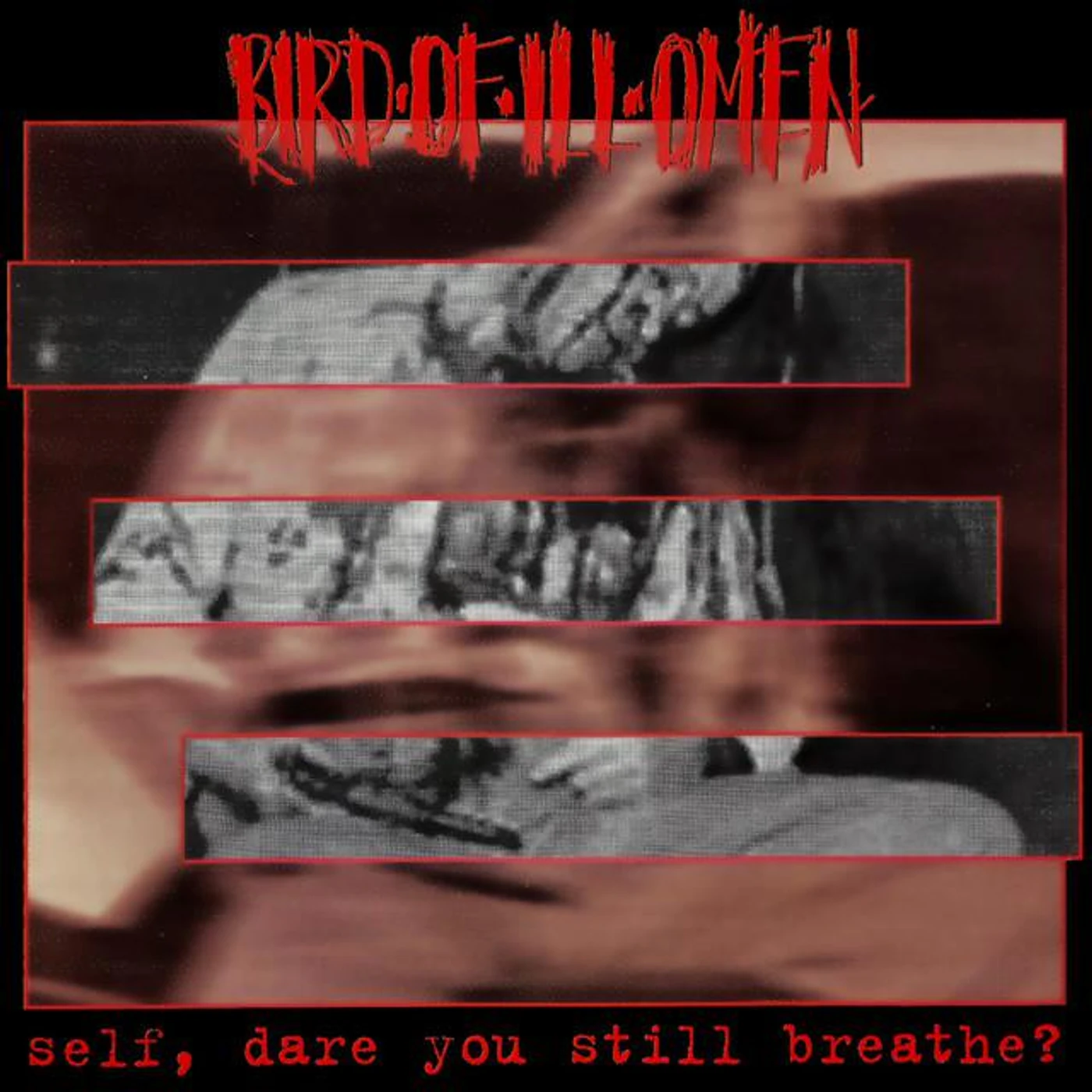 Bird of Ill Omen
