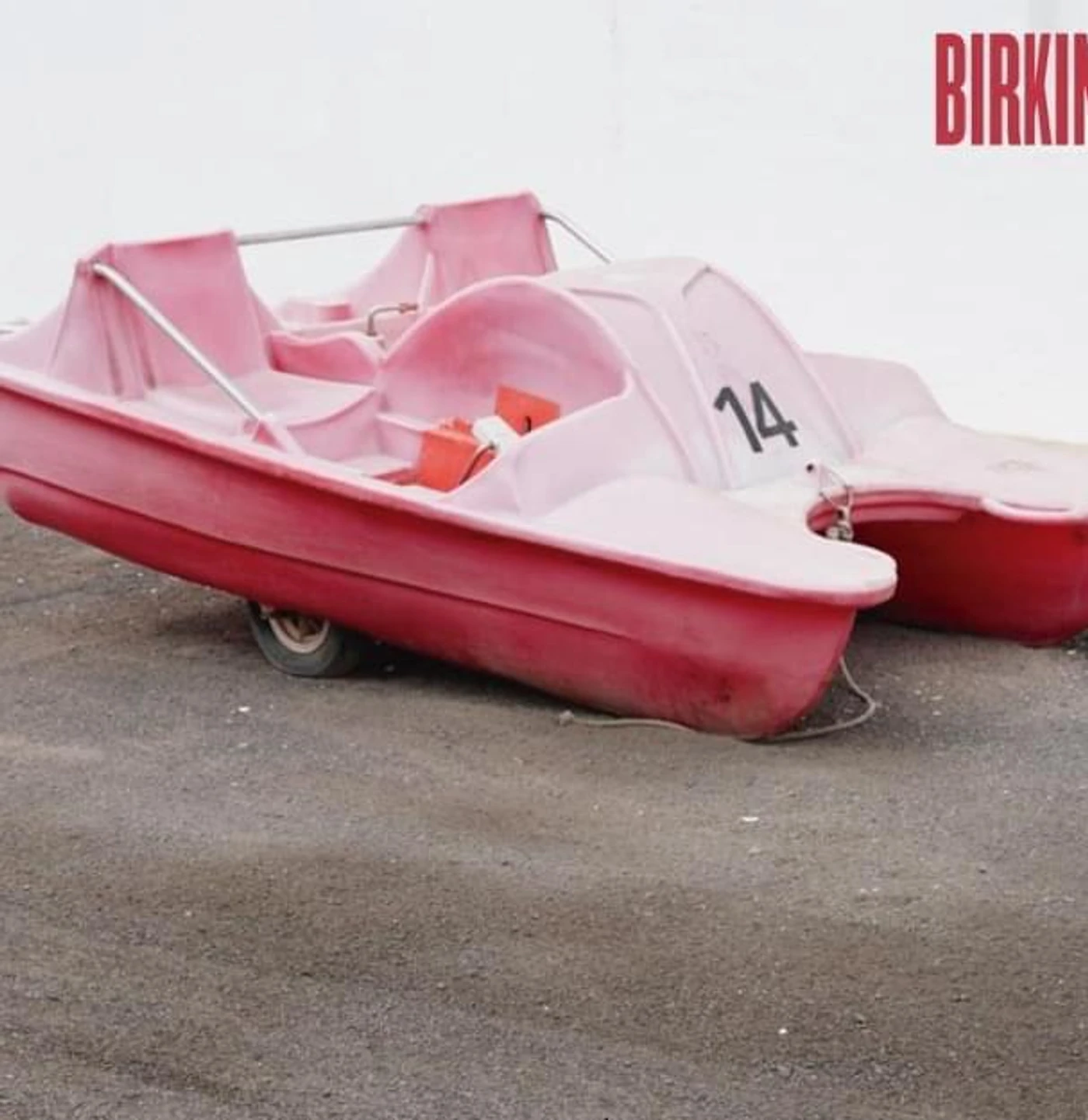 Birkins