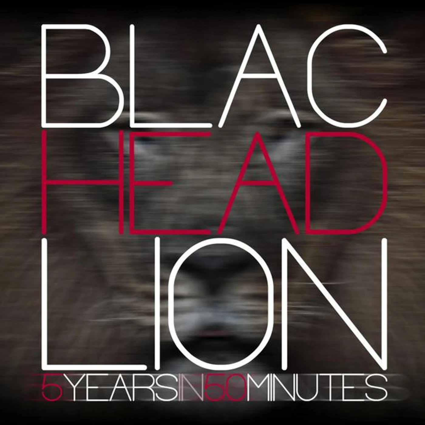 Blac Head Lion