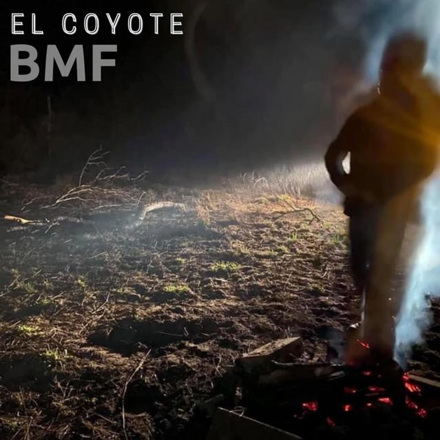 BMF
