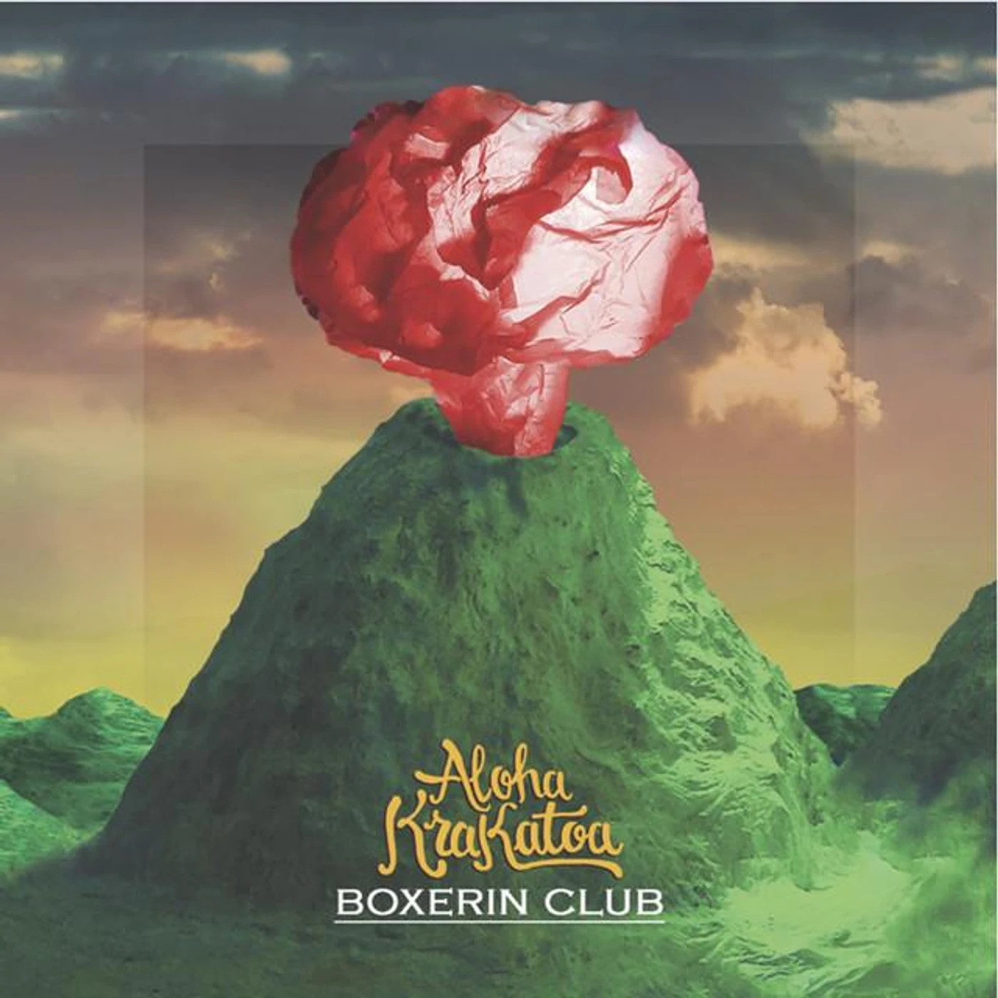 Boxerin Club