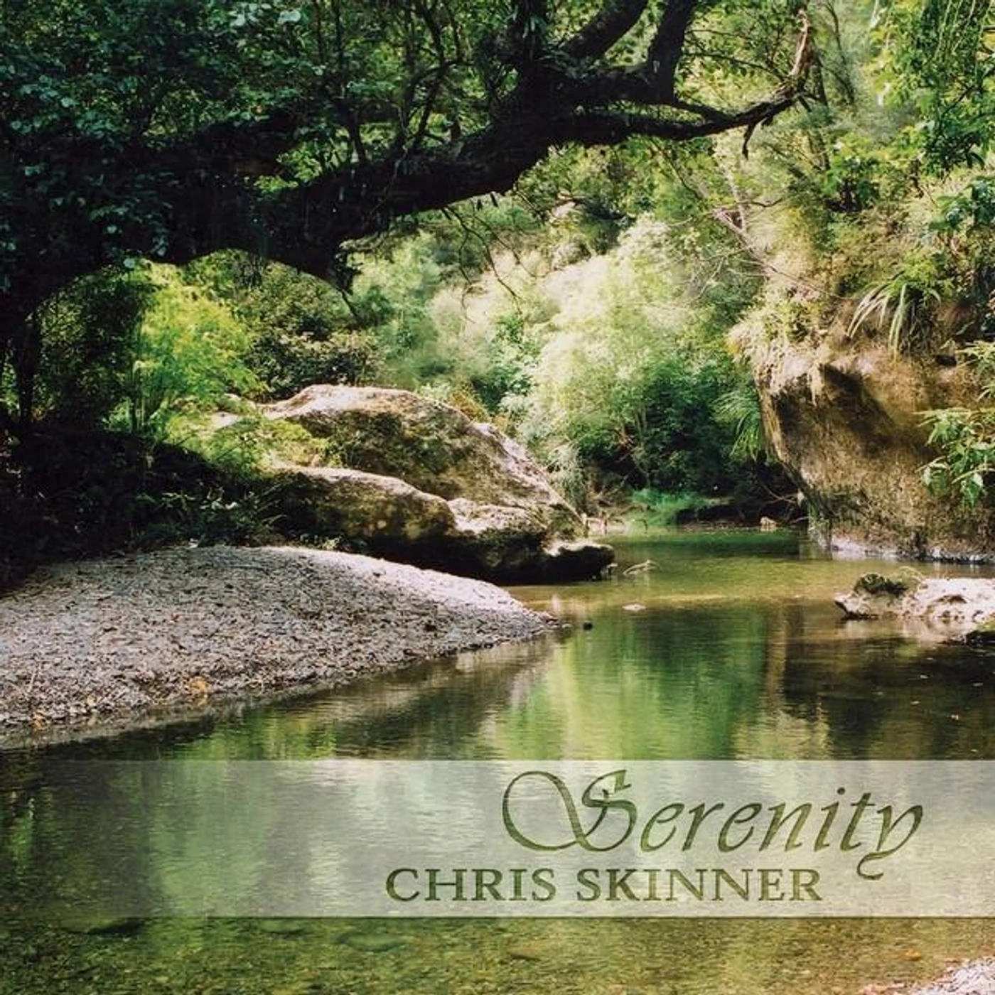 Chris Skinner