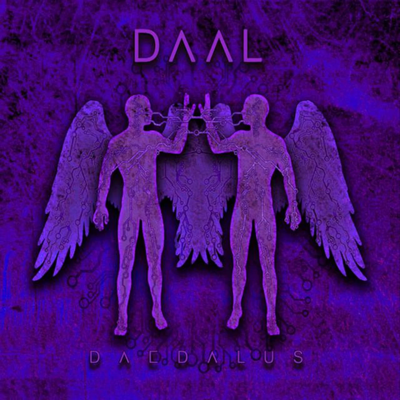 Daal
