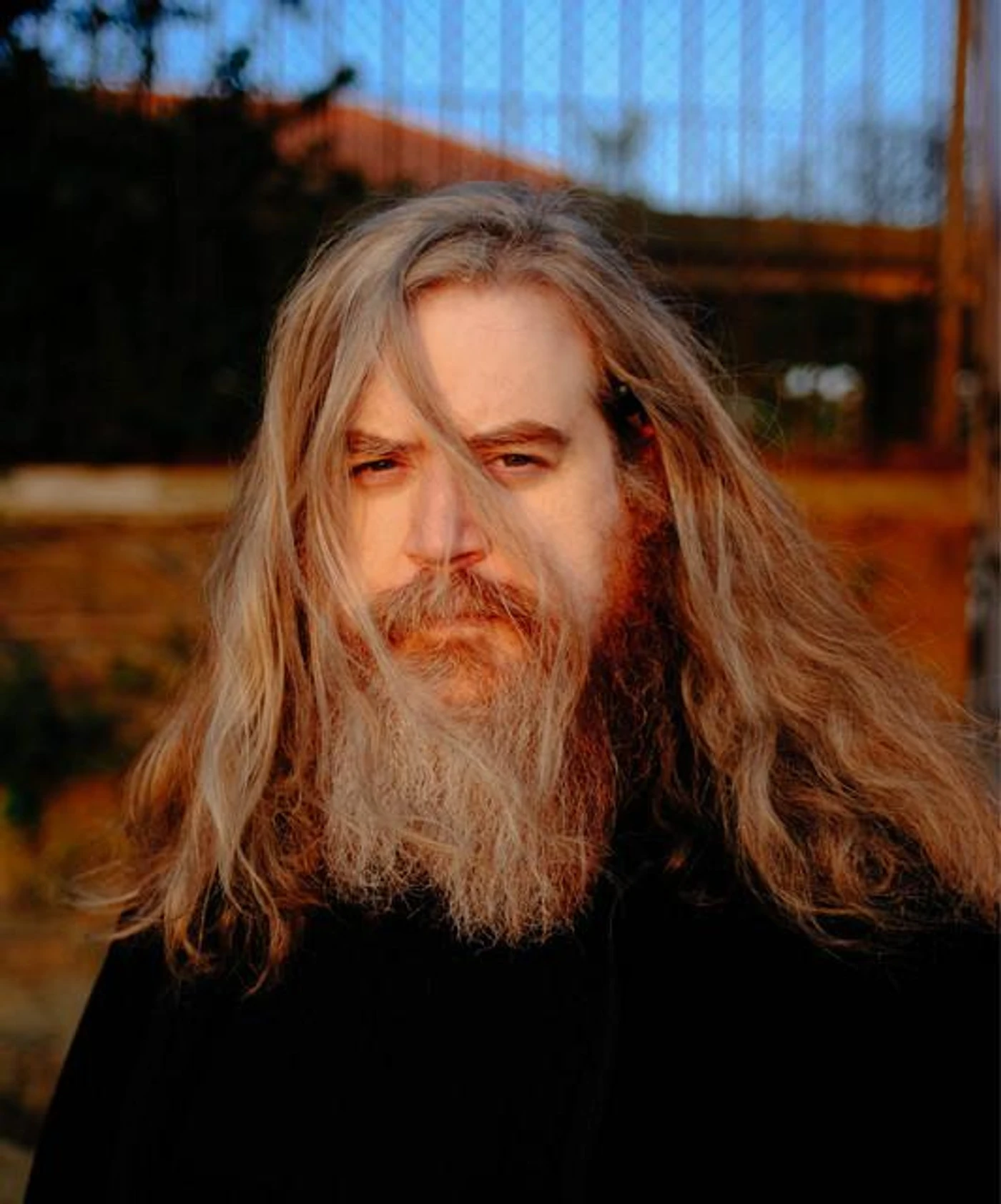 Daniel Knox