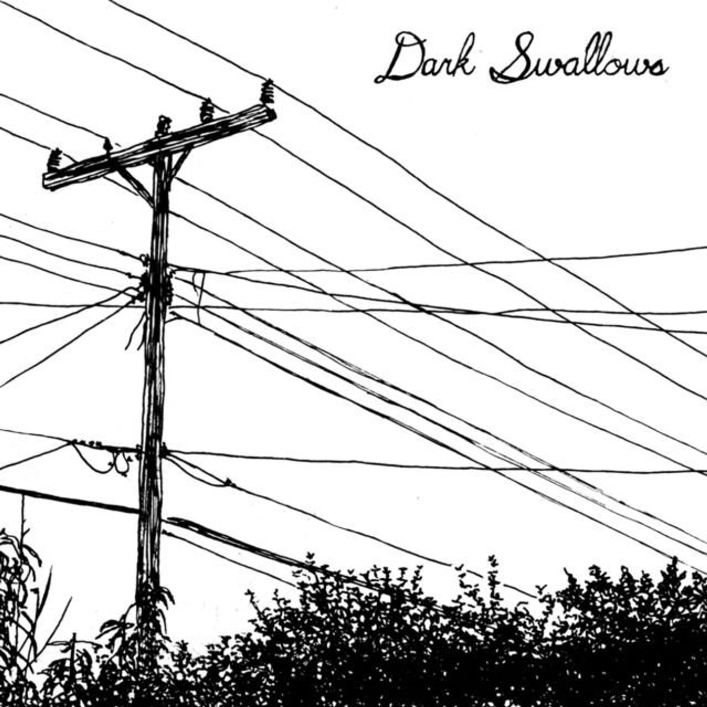 Dark Swallows