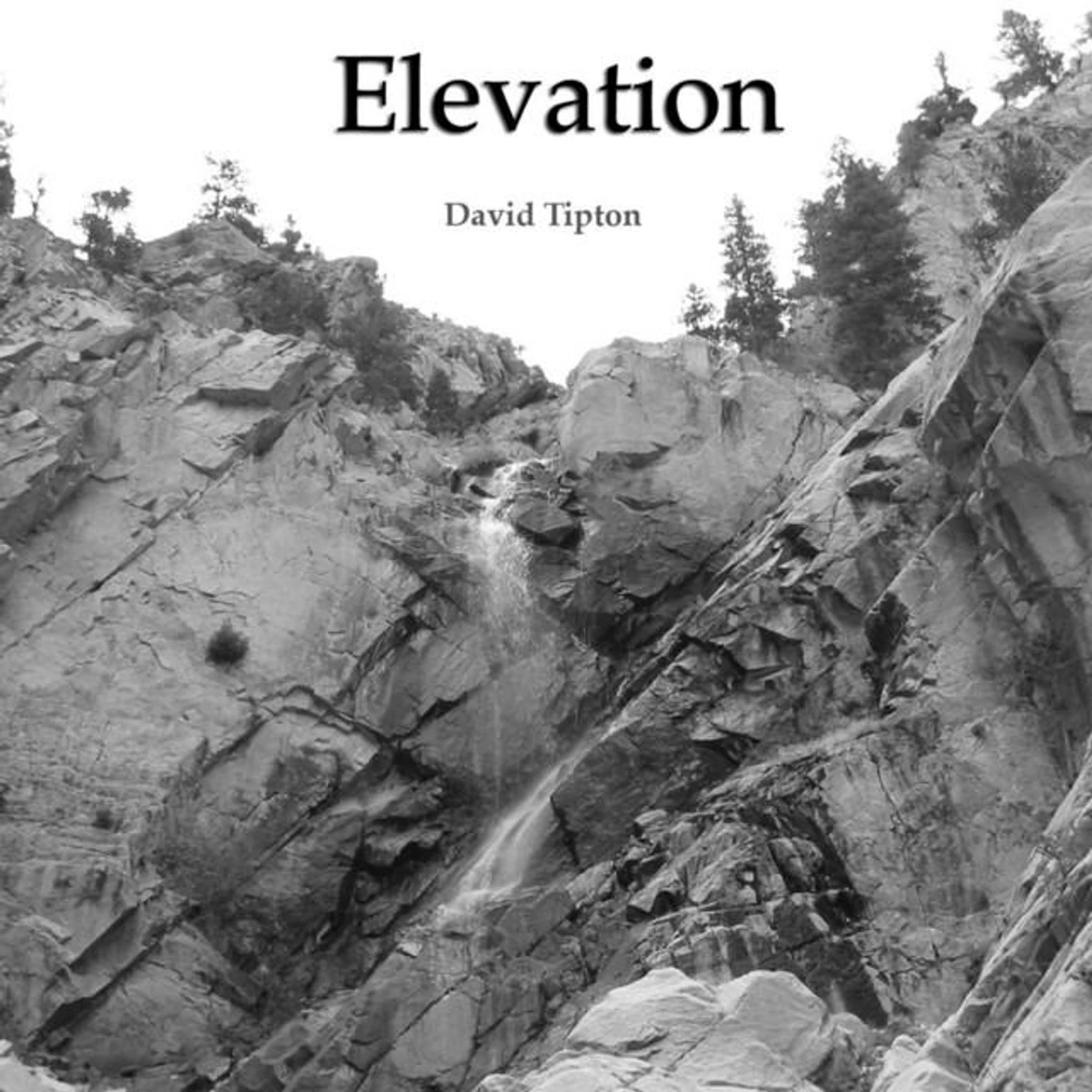 David Tipton