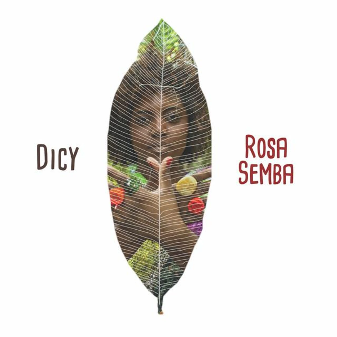 Dicy
