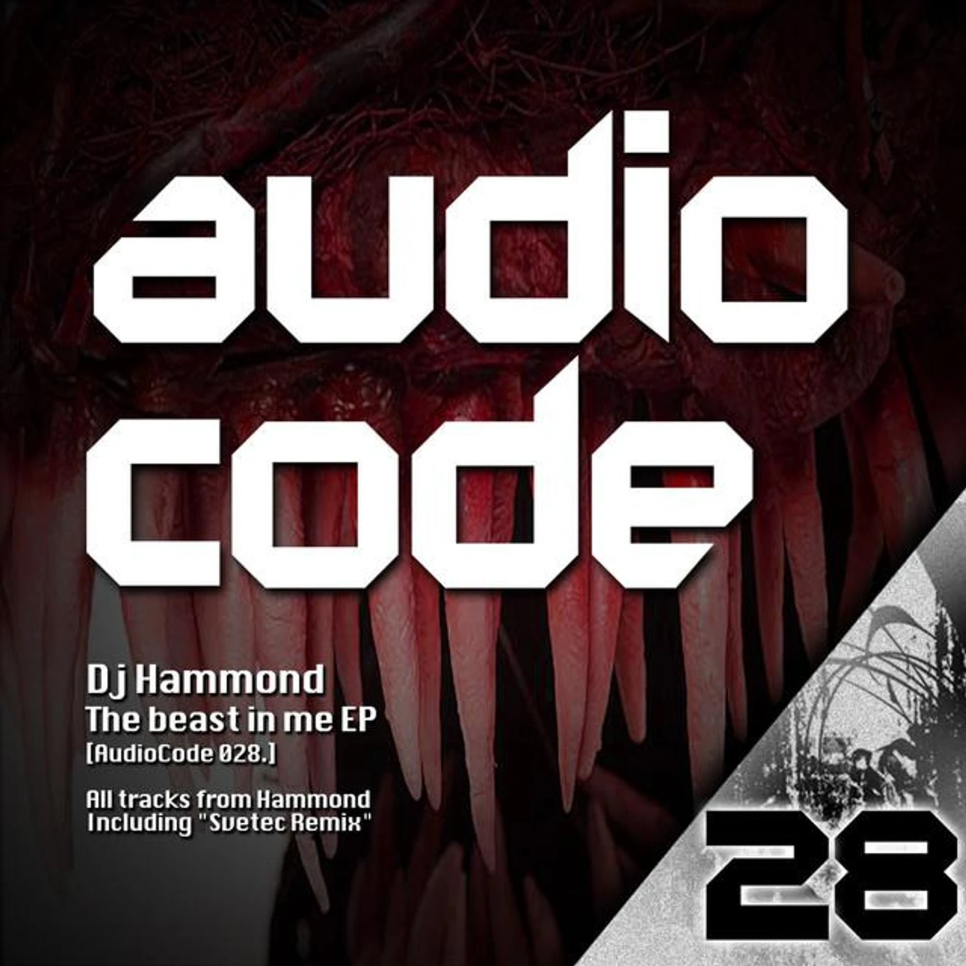 DJ Hammond