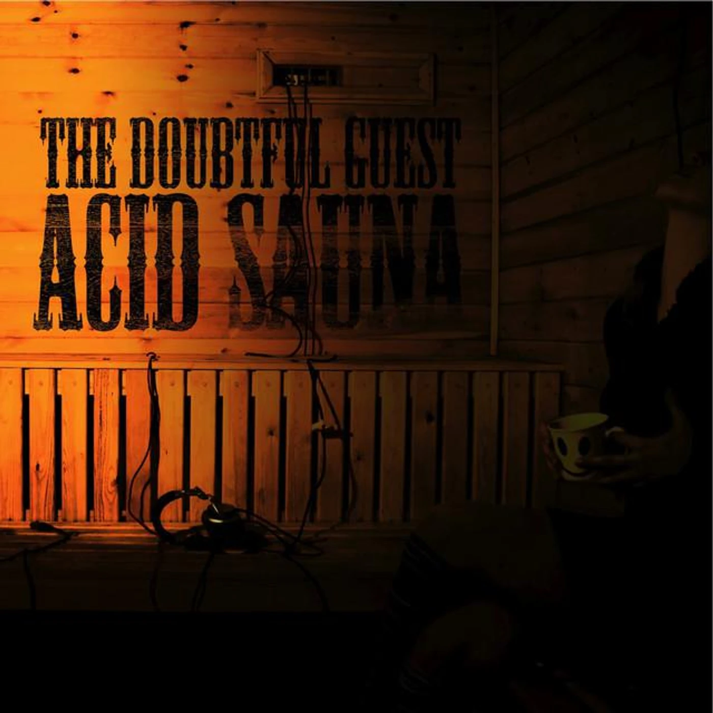 The Doubtful Guest