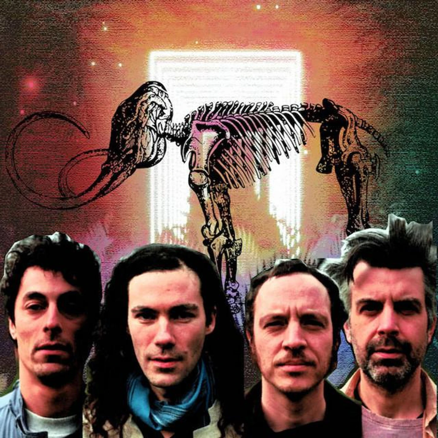 Echoes of Zoo
