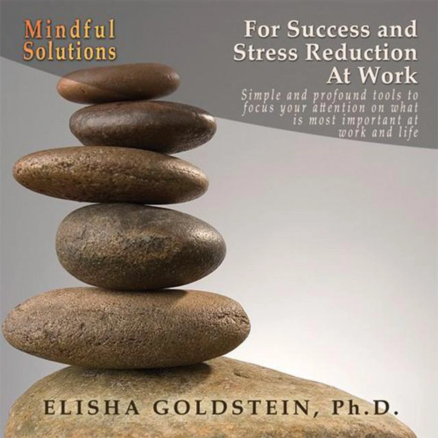 Elisha Goldstein Ph.D.
