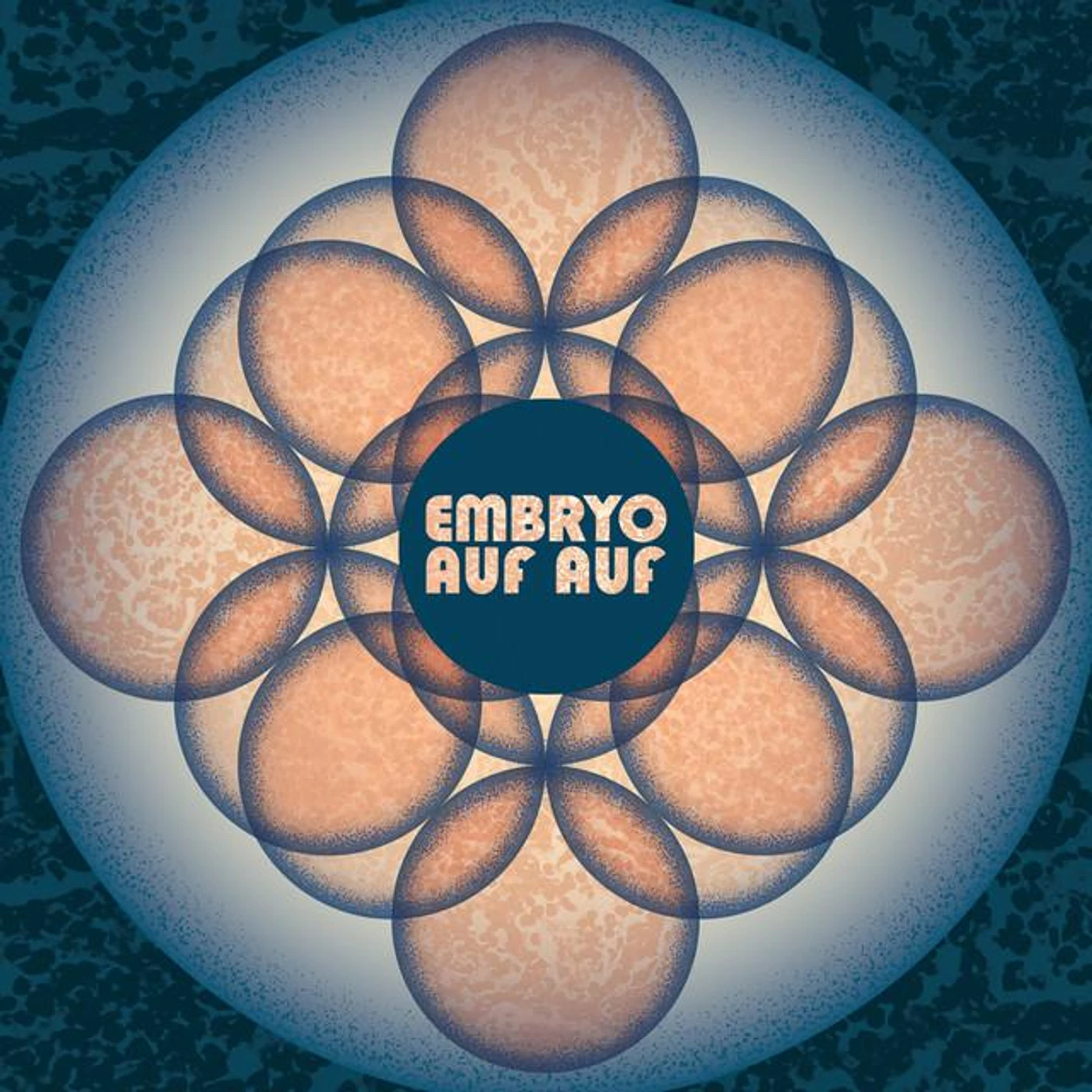 Embryo