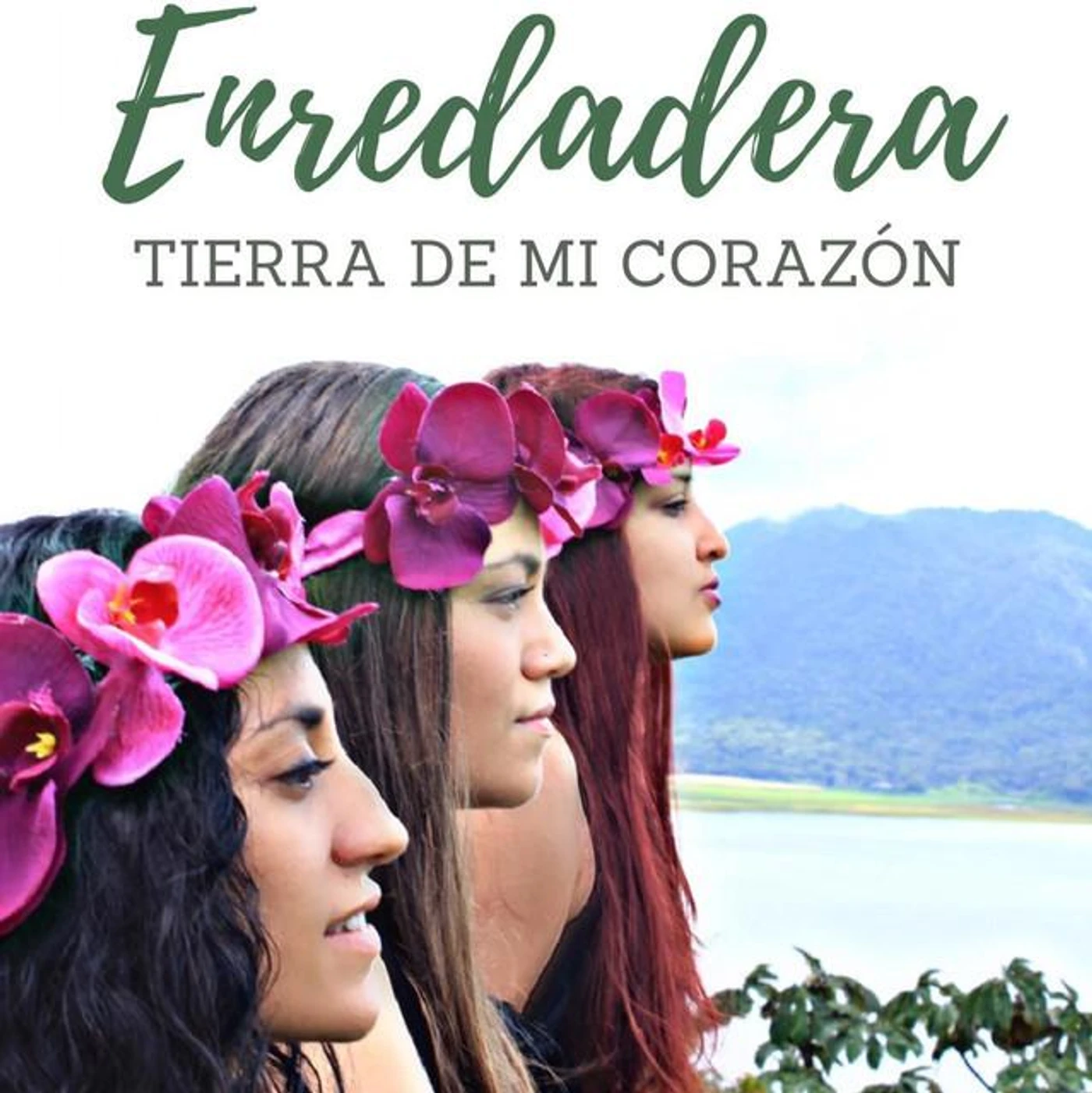 Enredadera