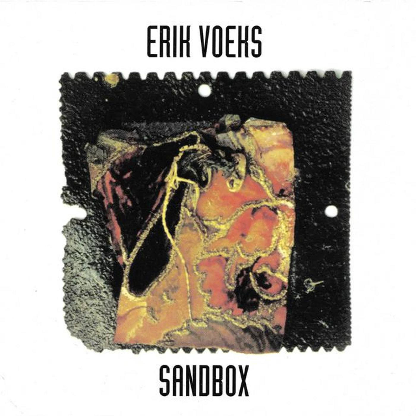 Erik Voeks