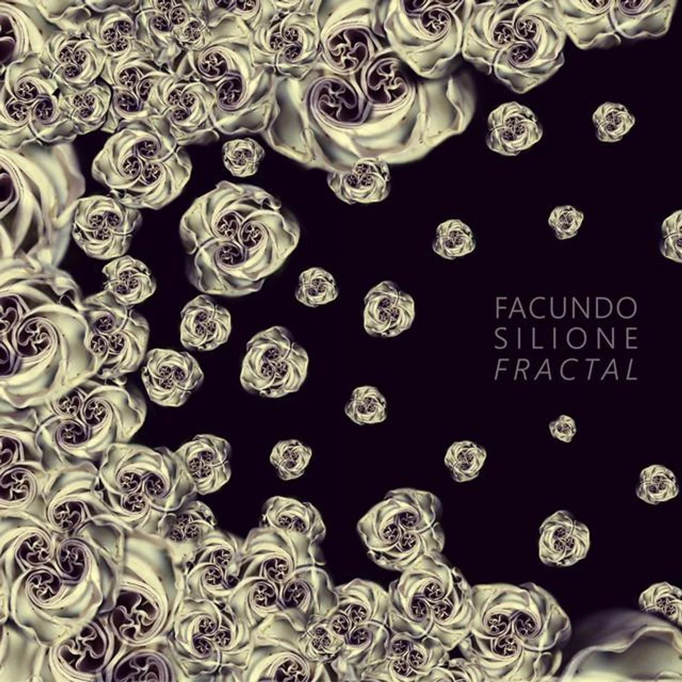 Facundo Silione