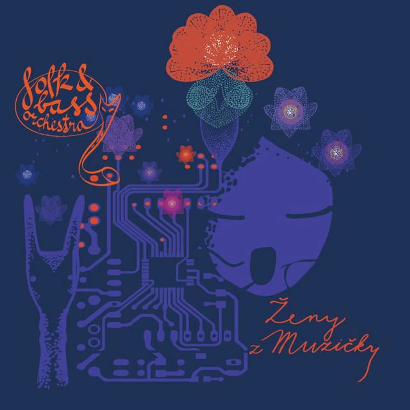 Folk&Bass Orchestra