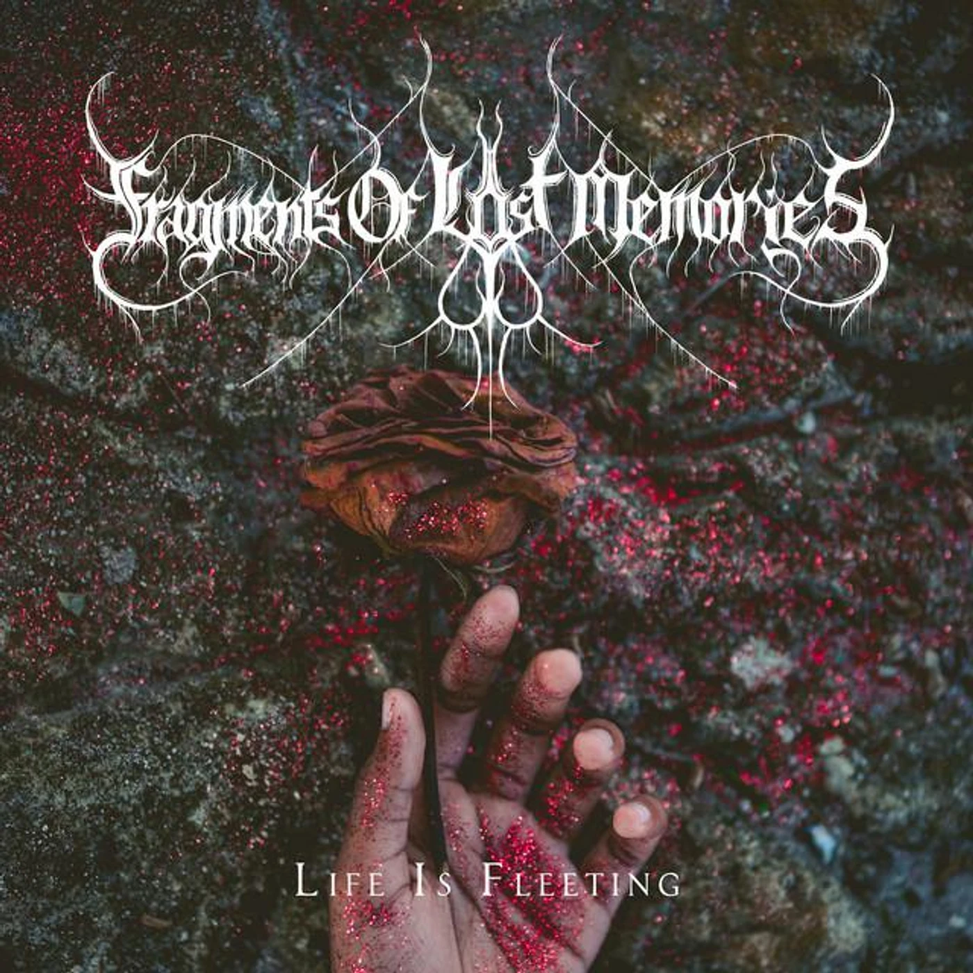 Fragments of Lost Memories