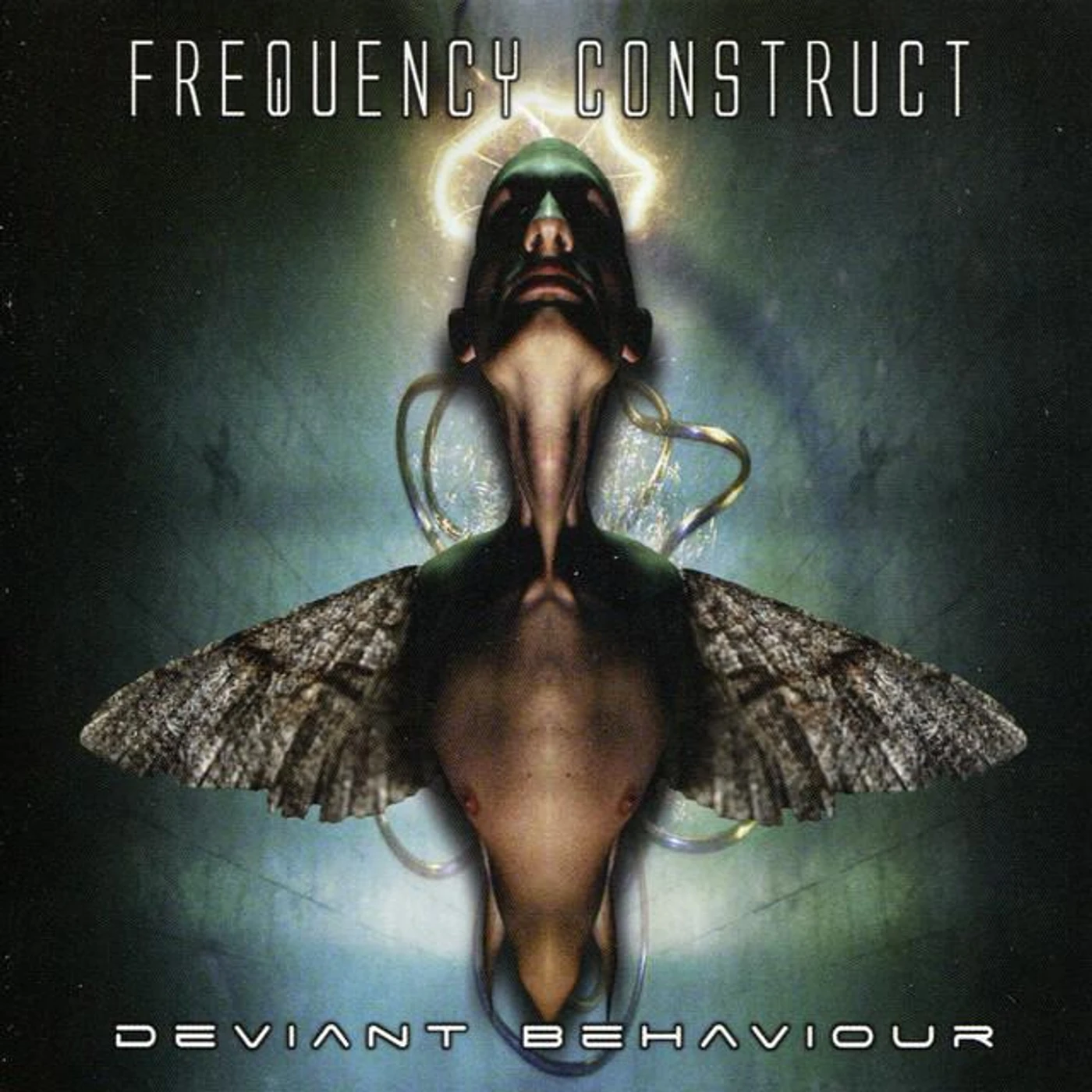 Frequency Construct