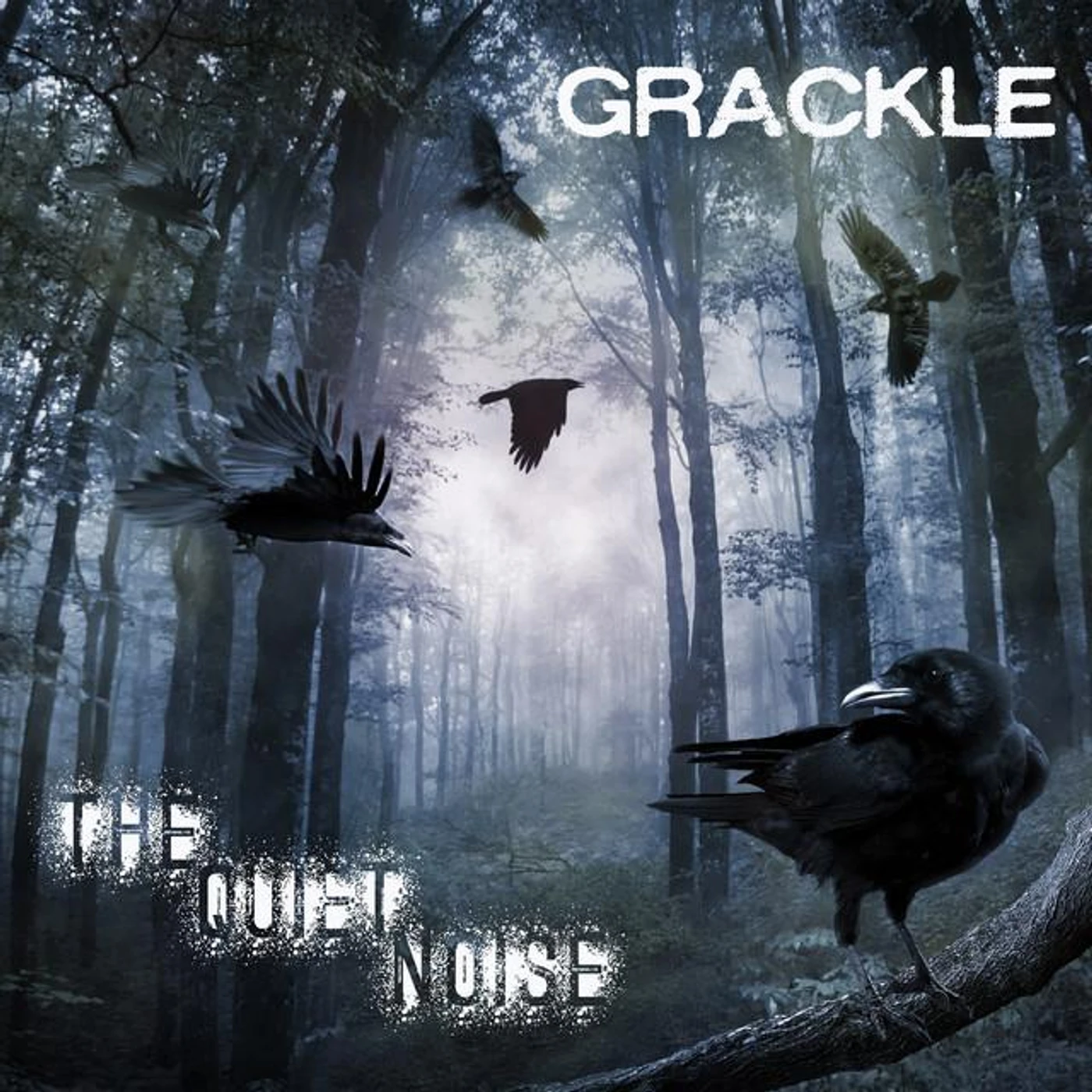 Grackle