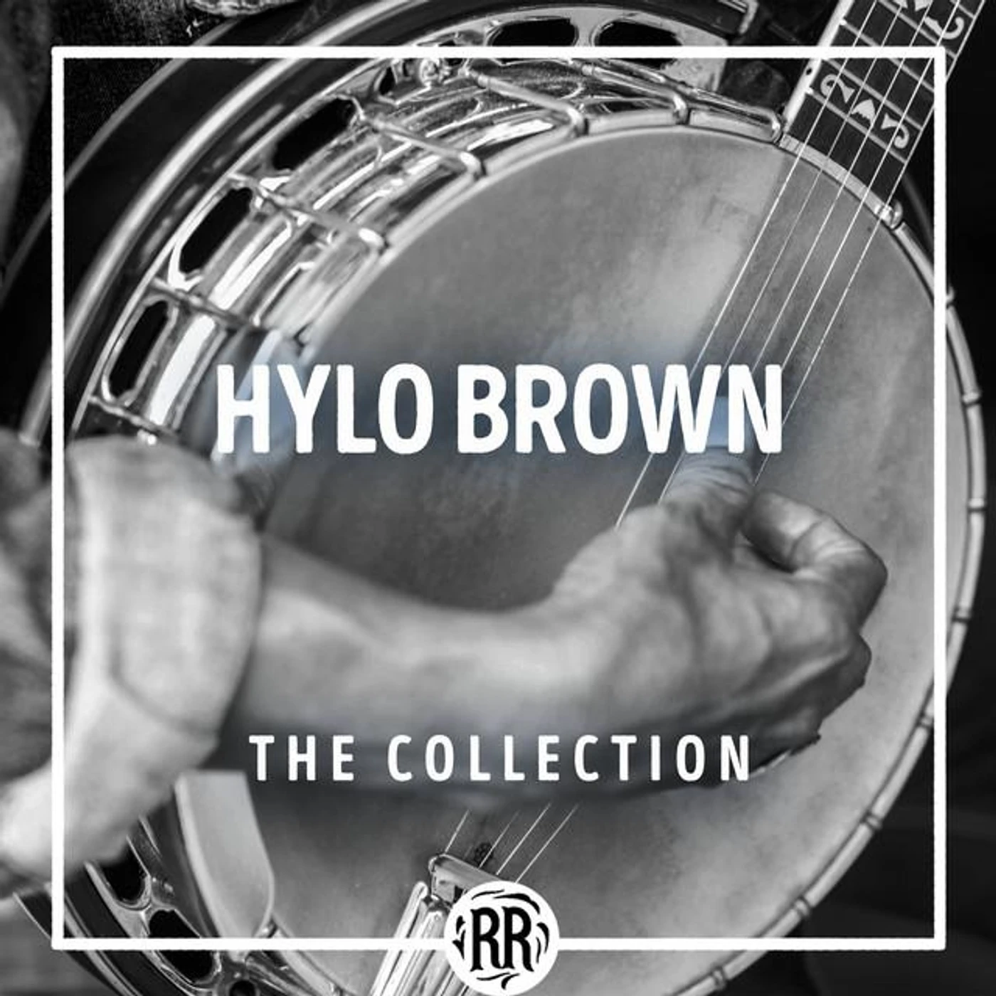 Hylo Brown