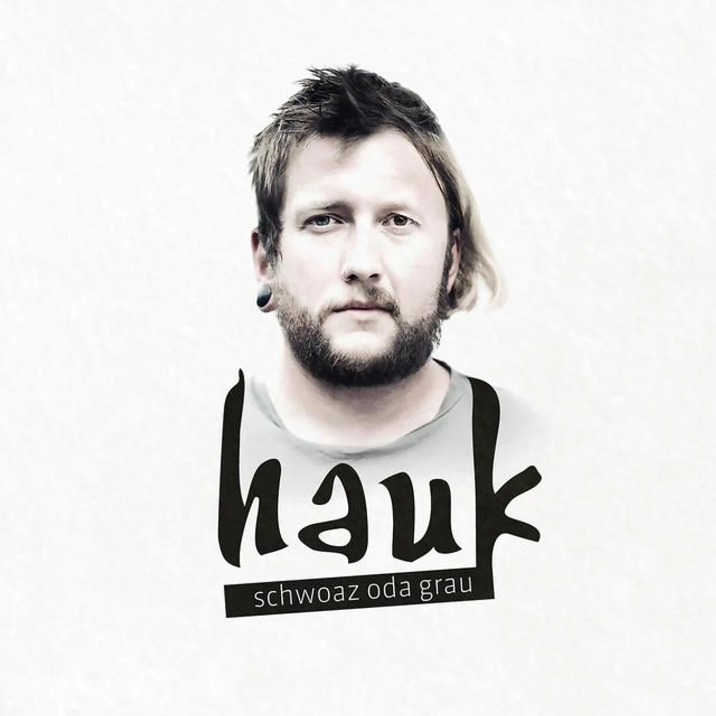 Hauk