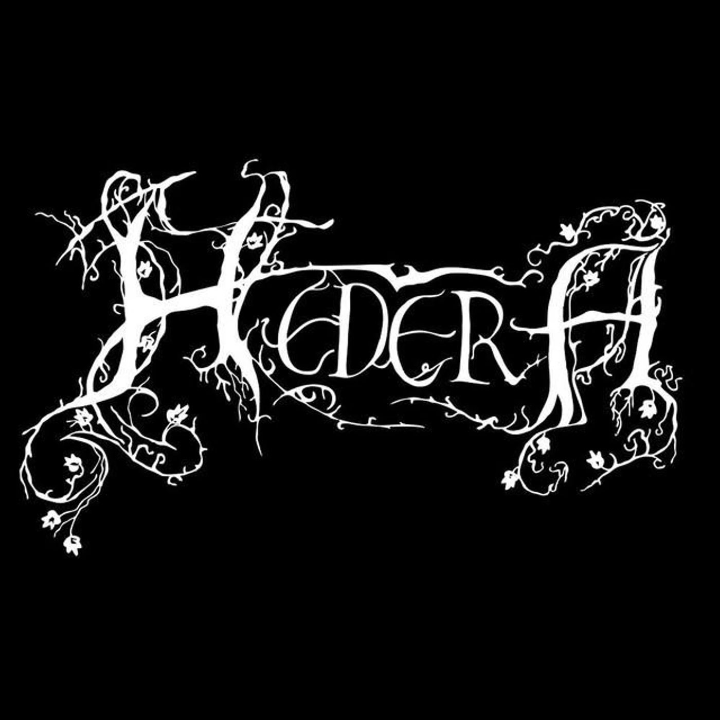 Hedera