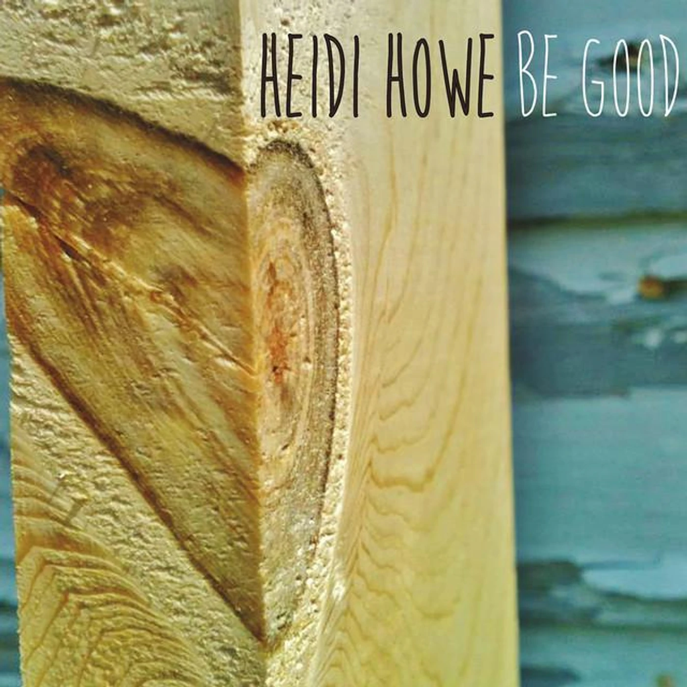 Heidi Howe