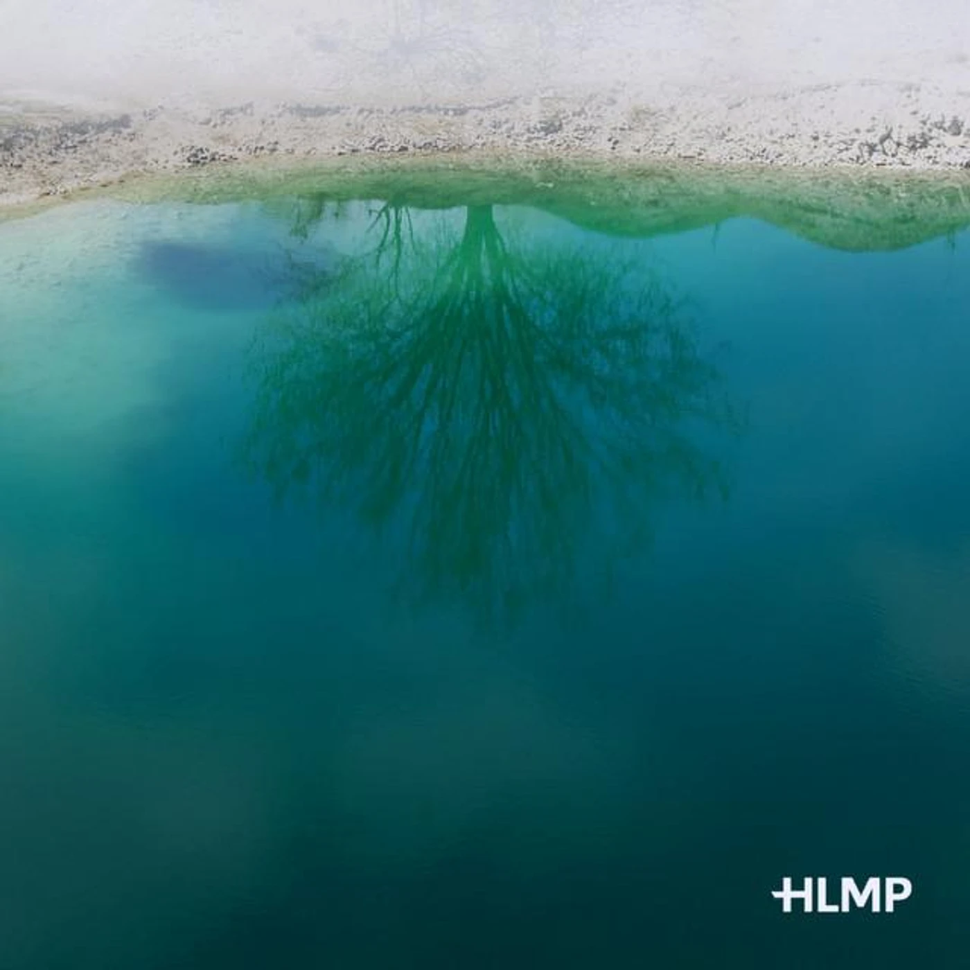HLMP