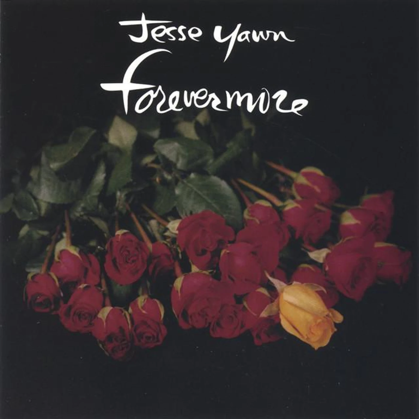 Jesse Yawn