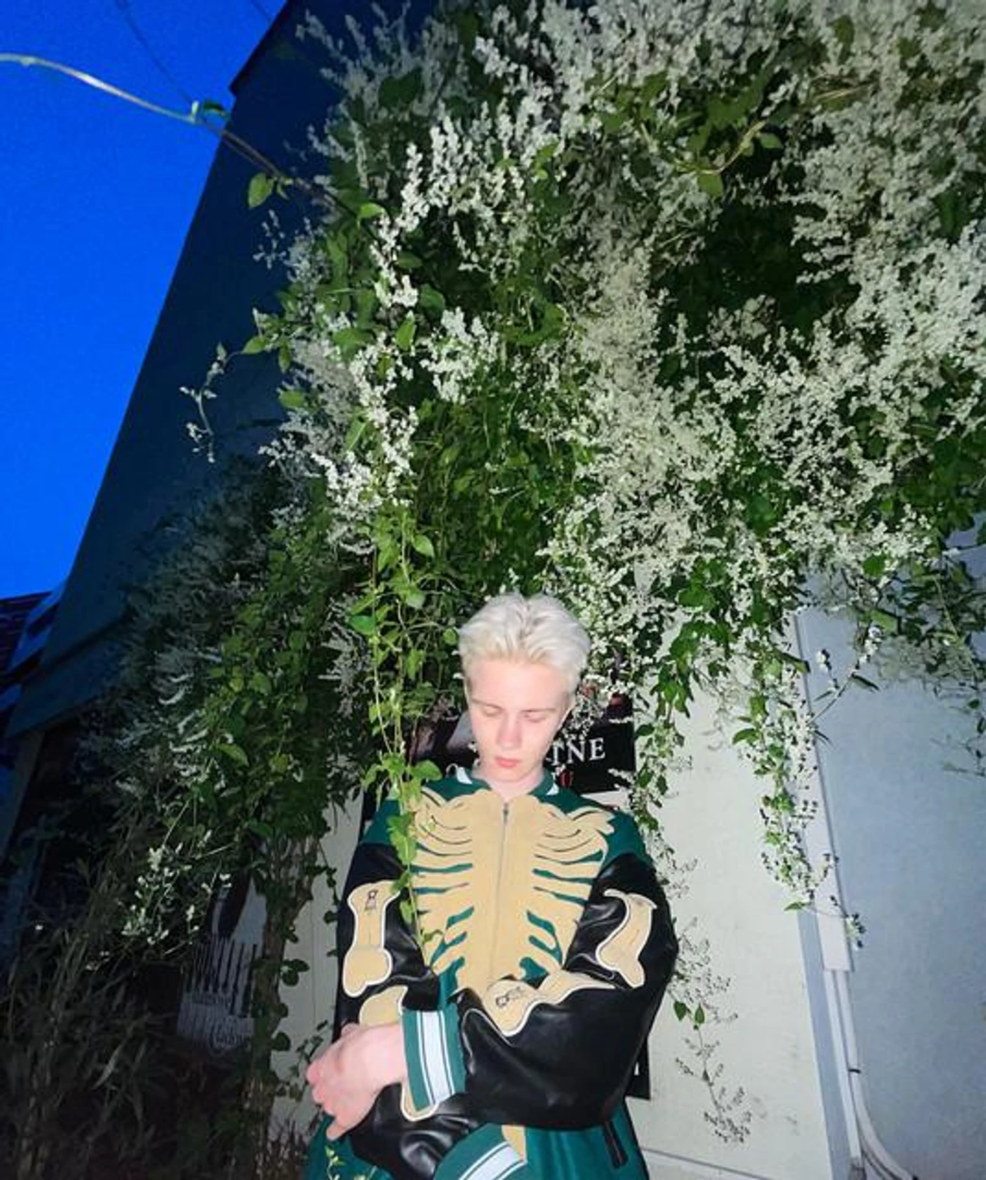 lacytheuniverseboy
