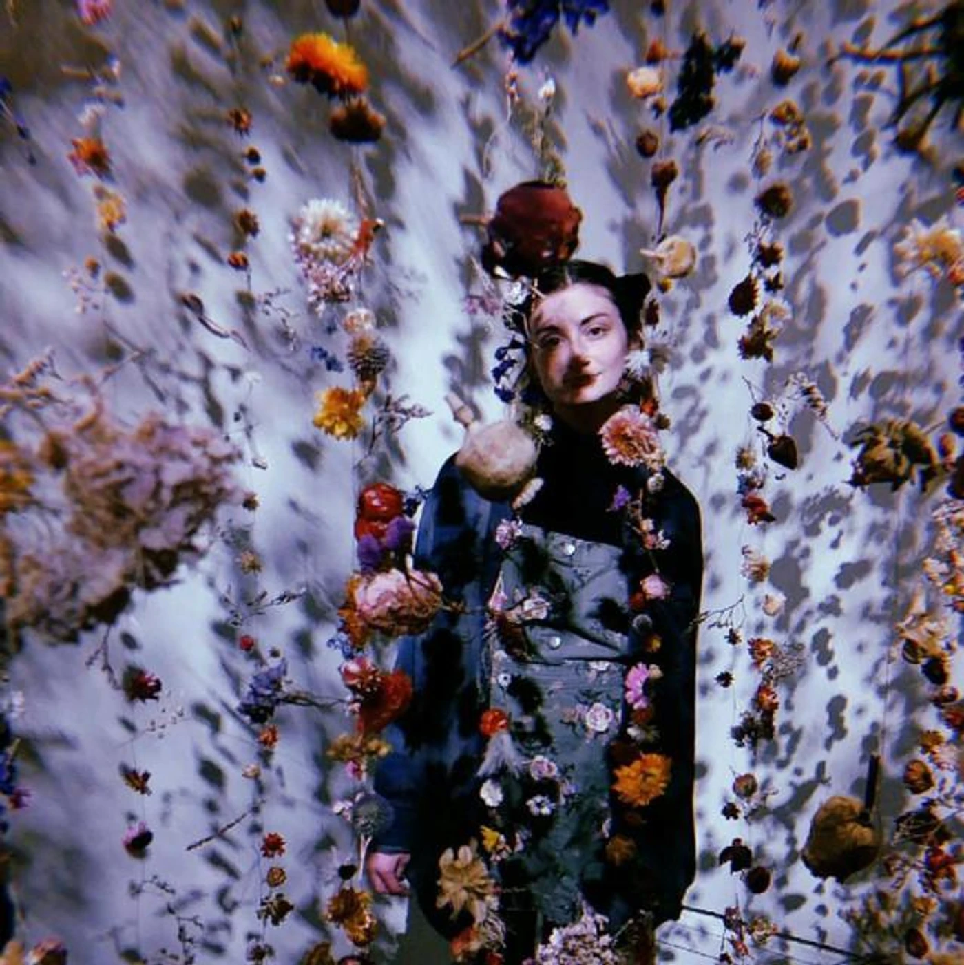 Lavender Ray