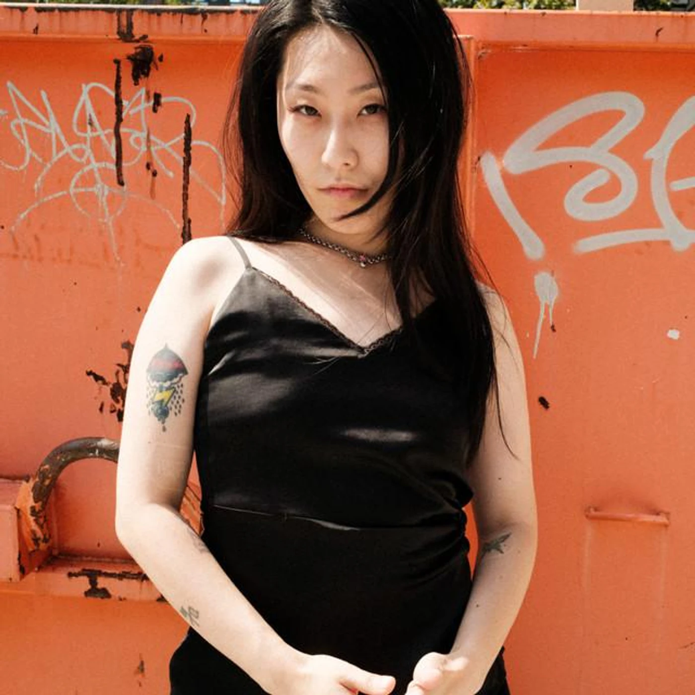 Leevisa